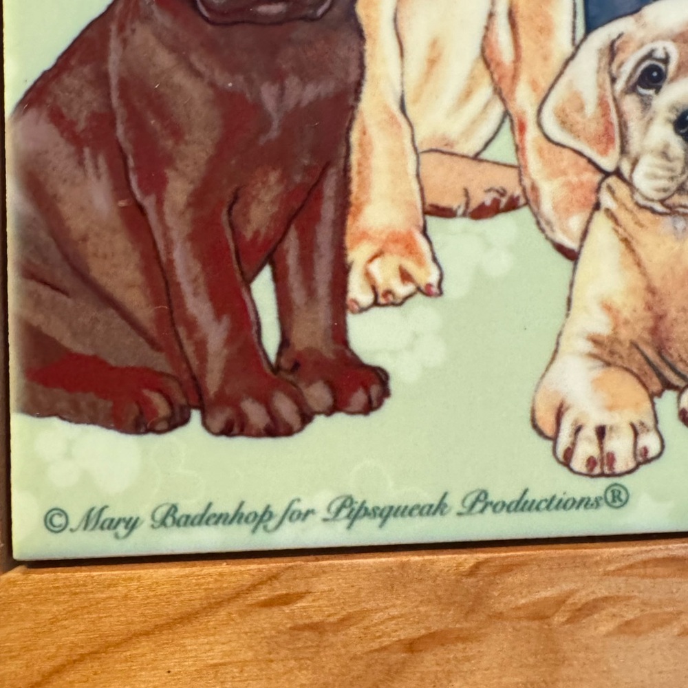 Mary Badenhop Labrador Lab Group Dog Framed Ceramic Wall Decor /Trivet 8" Square - Picture 4 of 6